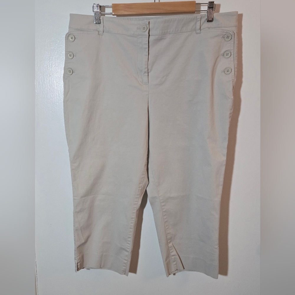 Talbots Stylish Beige Cropped Pants